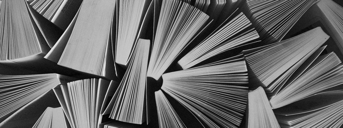 Publikationen Symbolbild Publikationen: Aufgefächerte Bücher von oben fotografiert